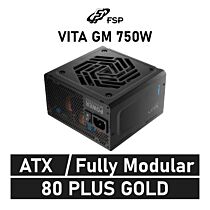 FSP VITA GM 750W 80 PLUS Gold VITA-750GM ATX Power Supply by fsp at Rebel Tech