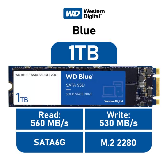 Western Digital Blue 1TB SATA6G WDS100T2B0B M.2 2280 Solid State Drive by westerndigital at Rebel Tech