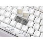 Ducky One 2 RGB TKL White Cherry MX Brown DKON1787ST-BUSPDWWT1 TKL Size Mechanical Keyboard by ducky at Rebel Tech