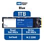 Western Digital Blue 1TB SATA6G WDS100T2B0B M.2 2280 Solid State Drive by westerndigital at Rebel Tech